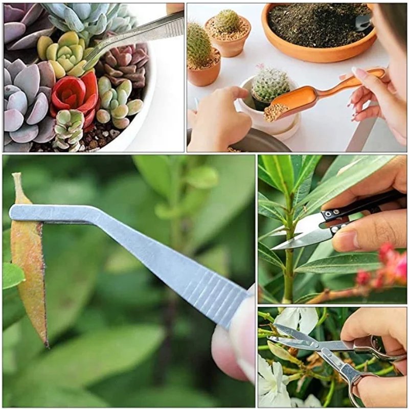 13Pcs Garden Planter Kit DIY S - Food Storage With Scoop recensie en prijs