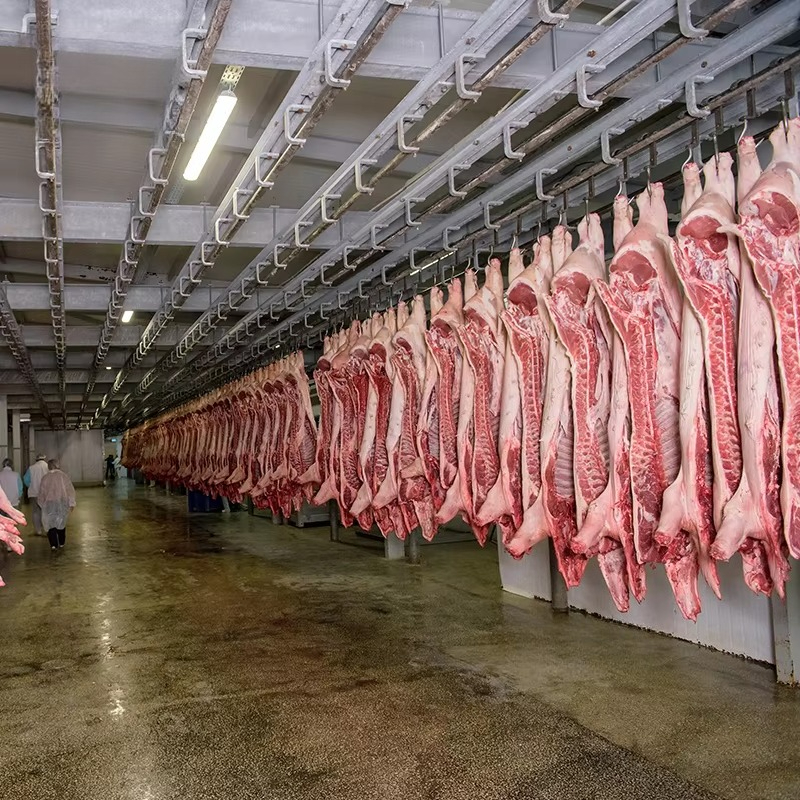 Cold Storage Room Slaughter Ho - Food Storage In Room recensie en prijs