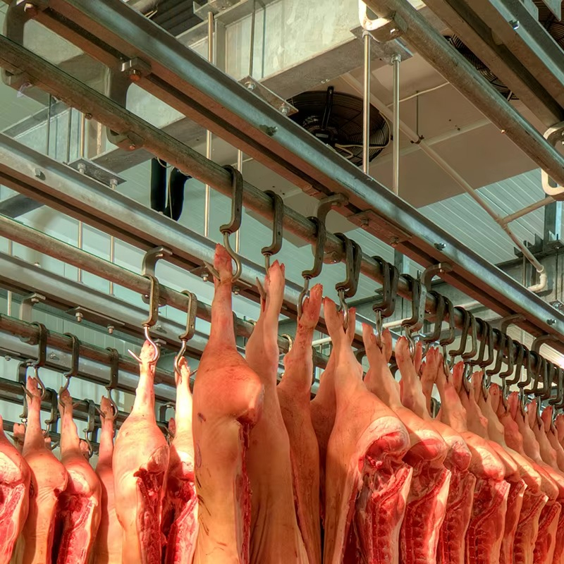 Cold Storage Room Slaughter Ho - Food Storage In Room recensie en prijs