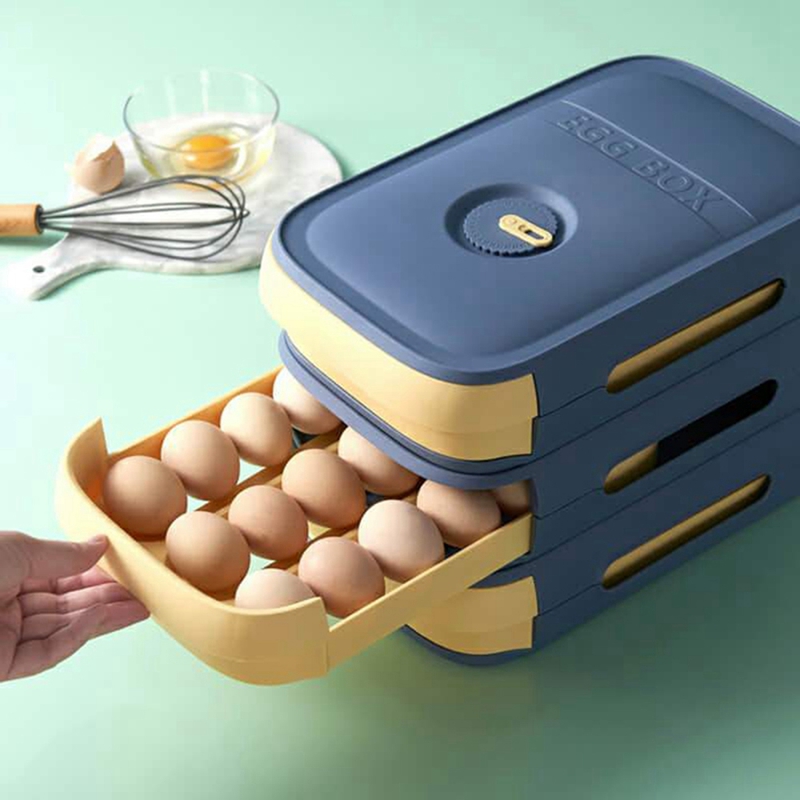 Egg Storage Container Refriger - Food Storage Usa recensie en prijs